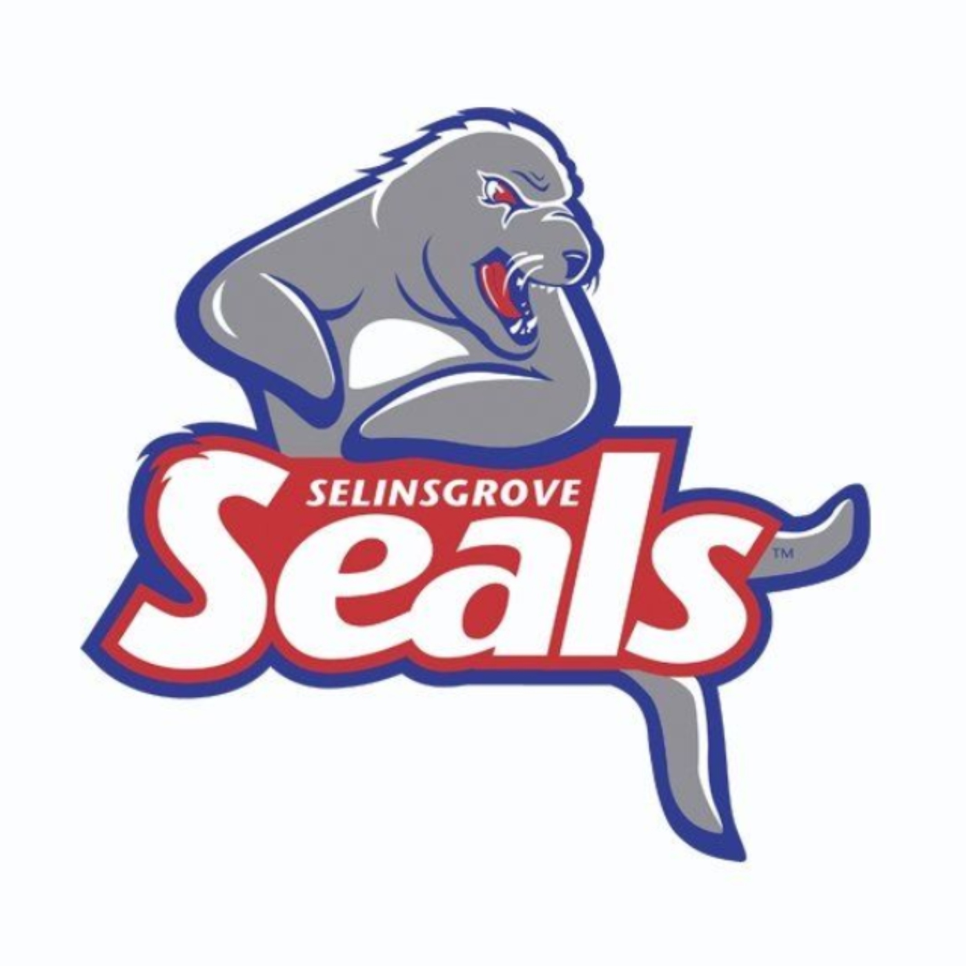 Eagle 107’s Broadcast of Selinsgrove at Loyalsock – September 28, 2018