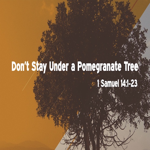 "Don't Stay Under a Pomegranate Tree"-1 Sam. 14:1-23-Mike Stone, Senior Pastor
