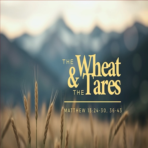 "The Wheat and the Tares"-Matt. 13:24-30, 36-43-Mike Stone, Senior Pastor
