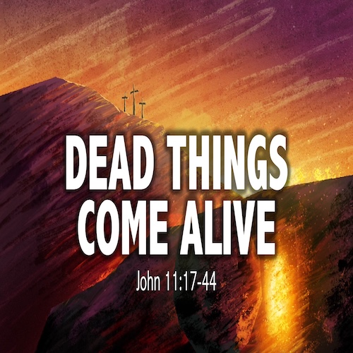 "Dead Things Come Alive"John 11:17-44