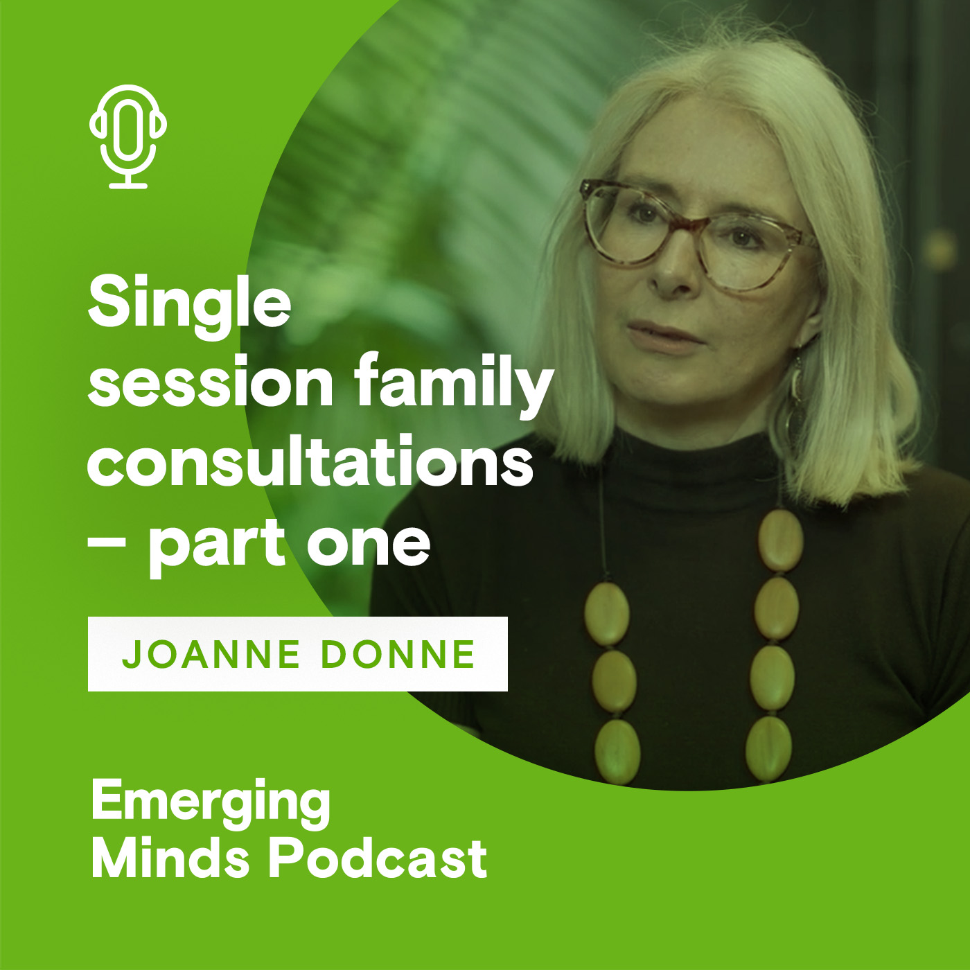 Single session family consultations - part one