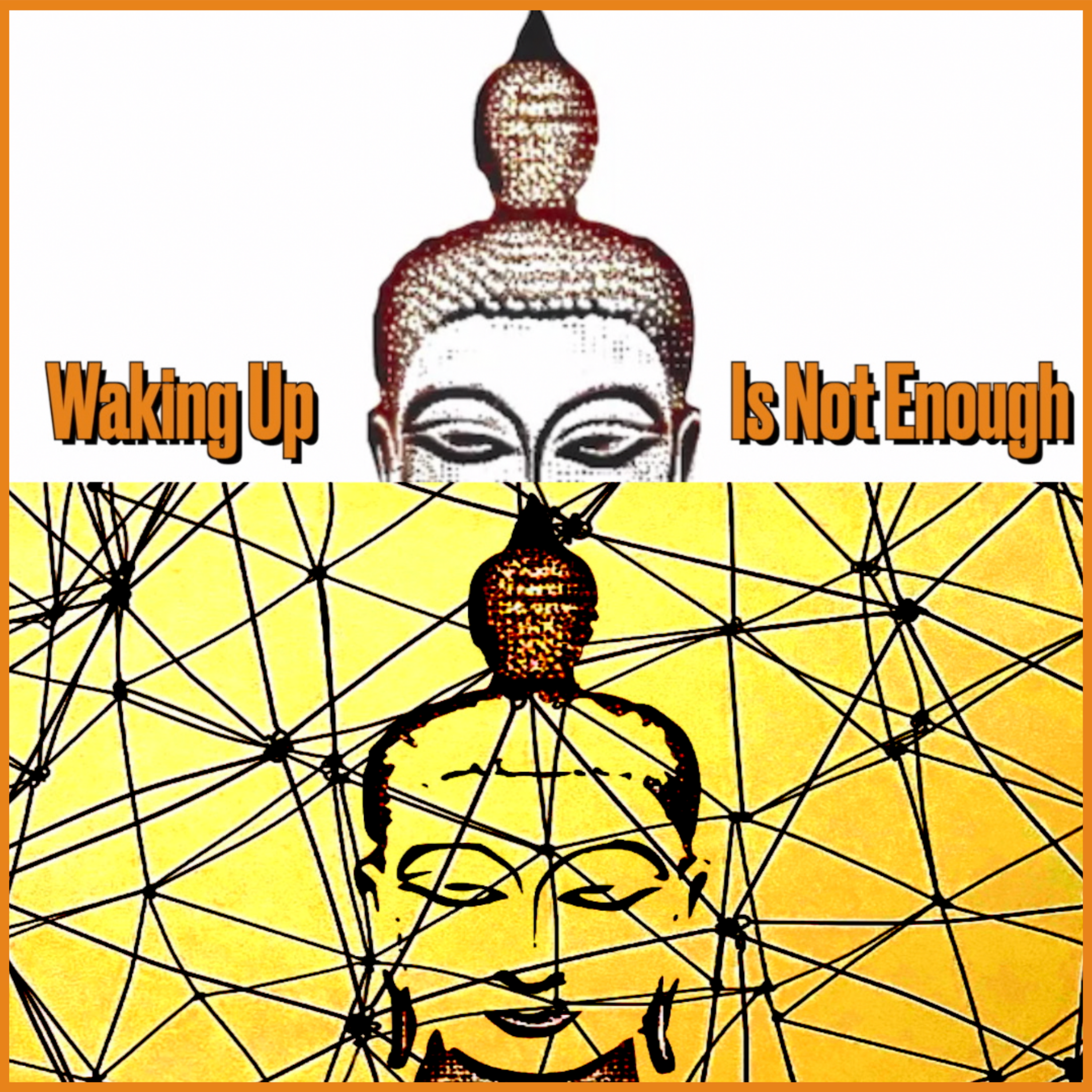 Waking Up Is Not Enough Episode #4 - What We Can Learn from Awakening?