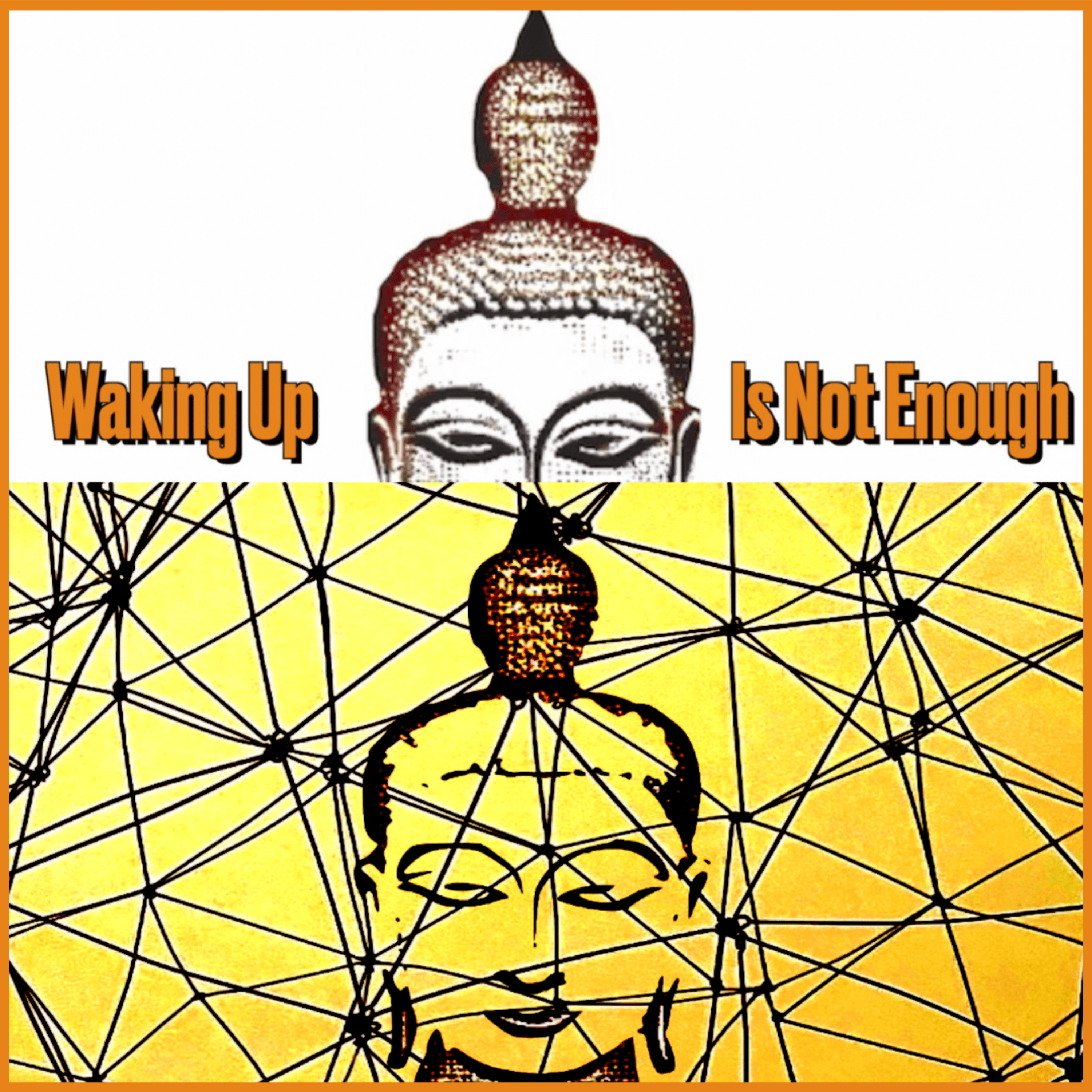 Waking Up Is Not Enough Episode 20 - Why Early Buddhism Matters Now:  ﻿A Conversation with Bill Waldron (Part 1)