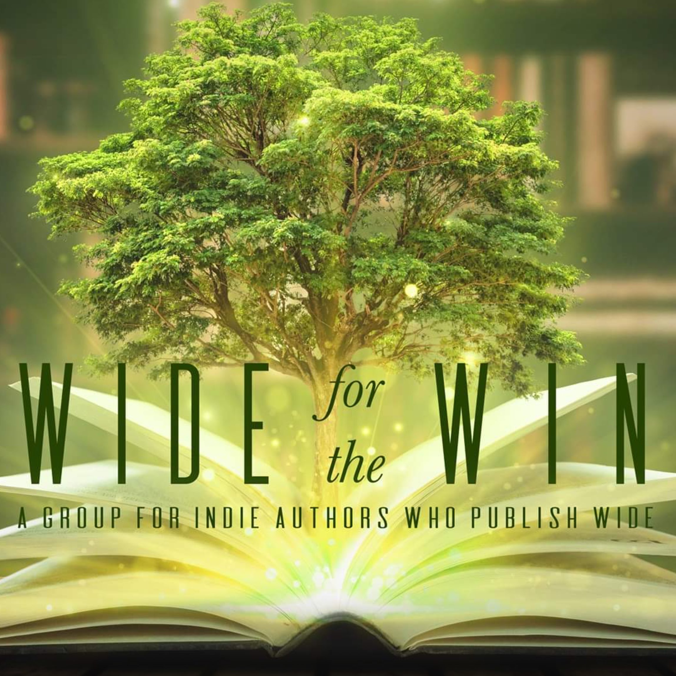 WFTW - What I Learned About Indie Publishing in 2024 with Ron Vitale