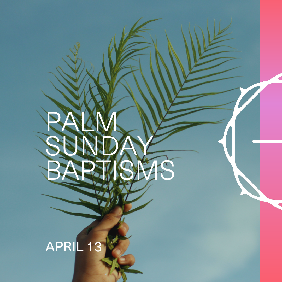 No tengas miedo (Don't Be Afraid!) - Baptism Sunday