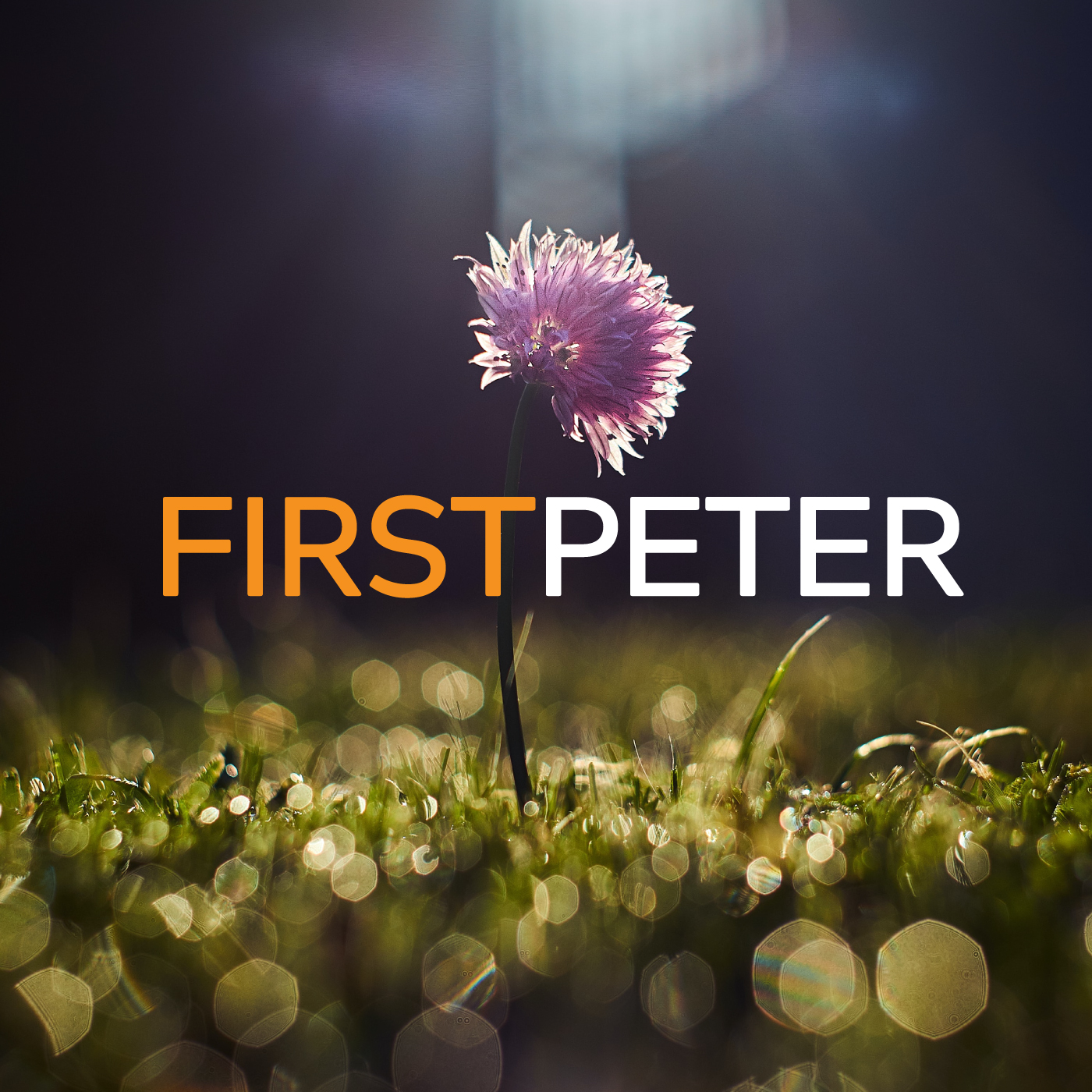 Episode Cover