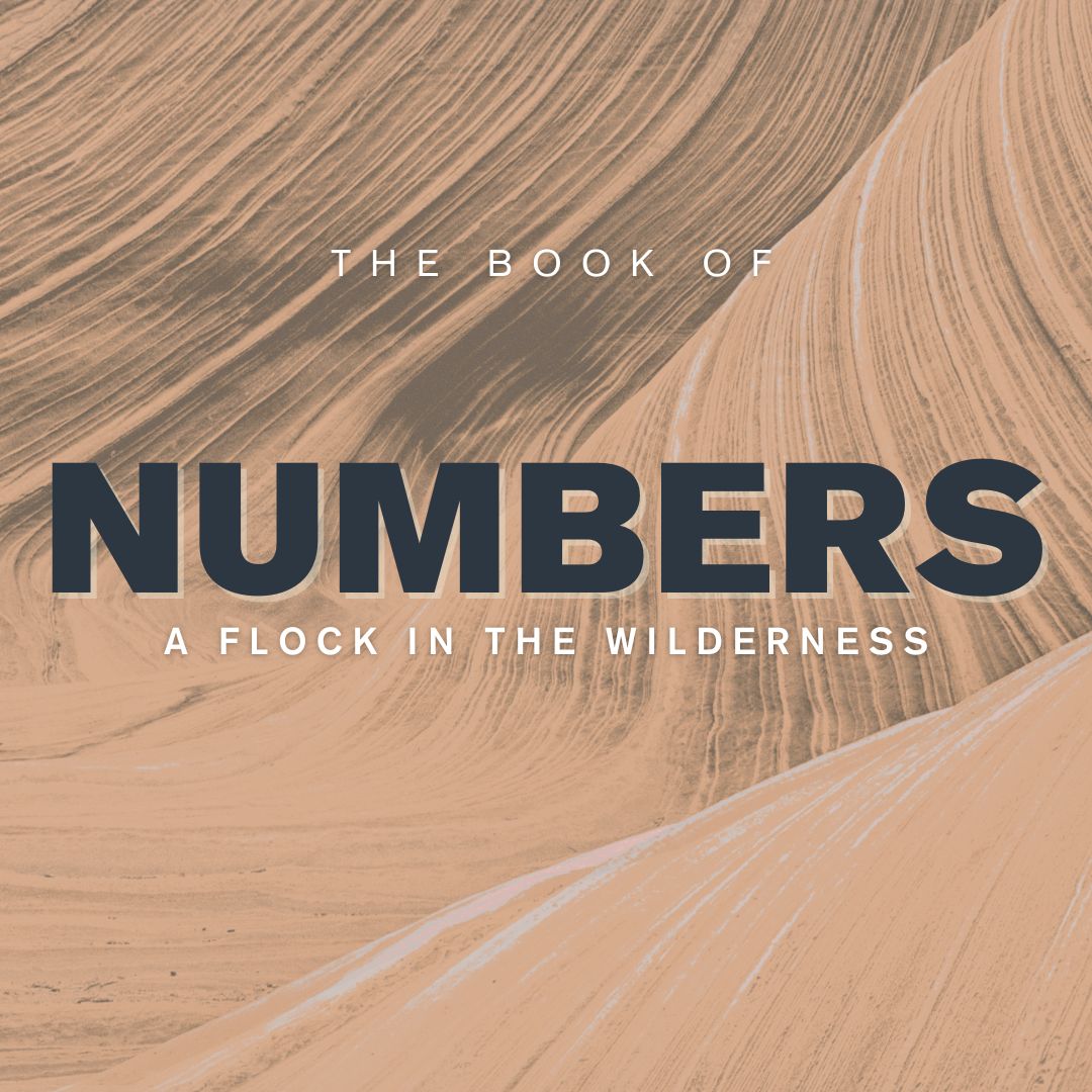 A Promised Land and a Chosen People