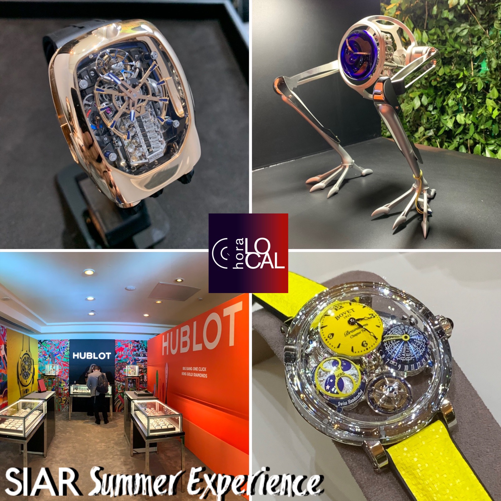 HORA LOCAL 054 - SIAR SUMMER EXPERIENCE 2