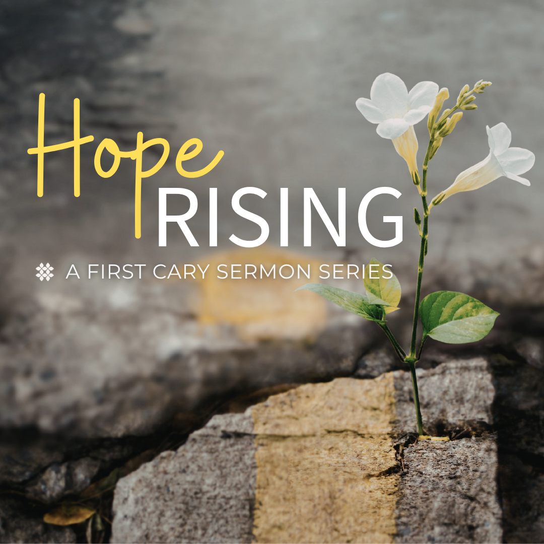 Episode Cover