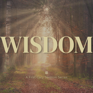 “Wisdom” Sermon Series, Week 3 –  Rev. Kollin Absher-Baer (First on Chatham)