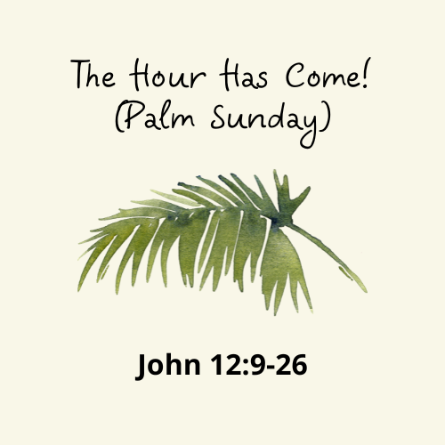 John 12:9-26 – The Hour Has Come