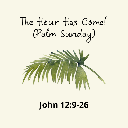John 12:9-26 - The Hour Has Come