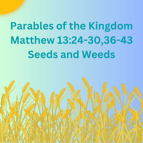 Matthew 13:24-30,36-43 - Seeds and Weeds