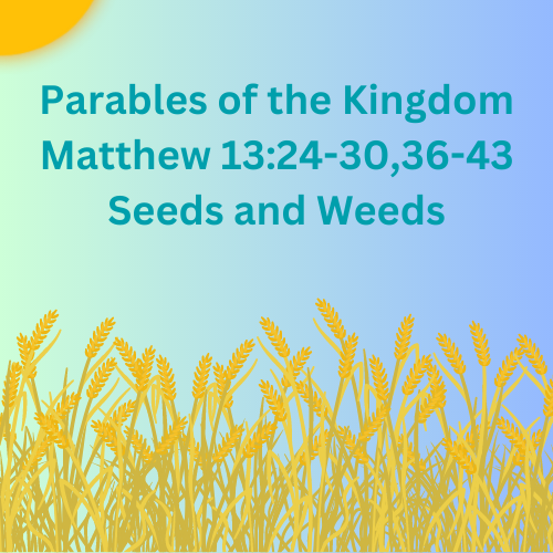 Matthew 13:24-30,36-43 &#8211; Seeds and Weeds