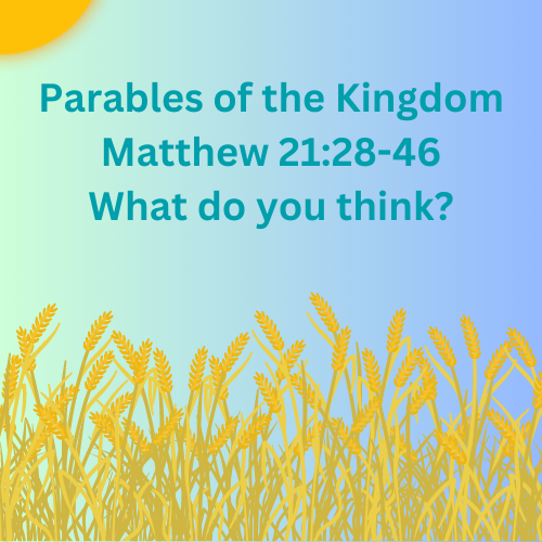 Matthew 21:28-46 – What do you think?