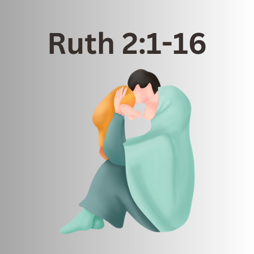Rut 2:1-16