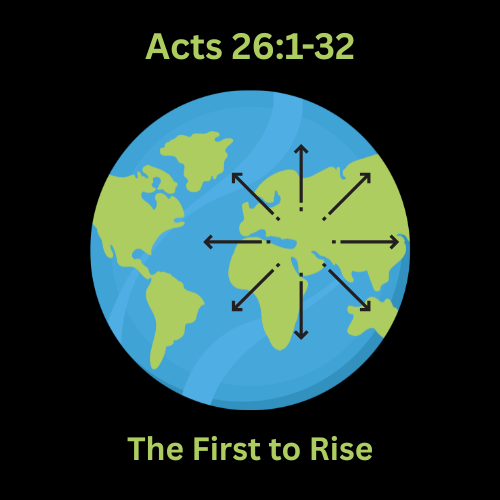 Episode Cover