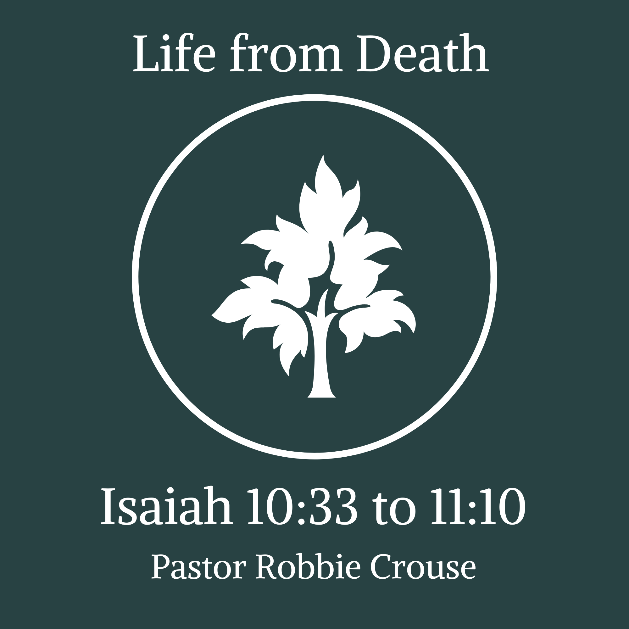 Isaiah 10:33-11:10 - Life from Death