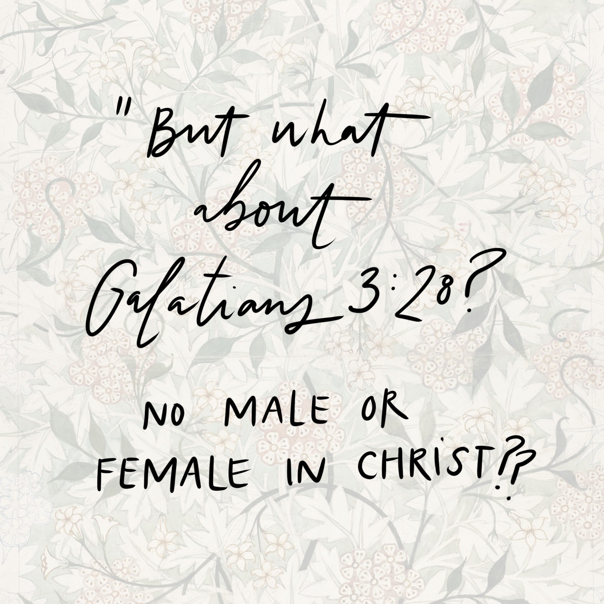 No Male or Female in Christ? -Comments on Submission