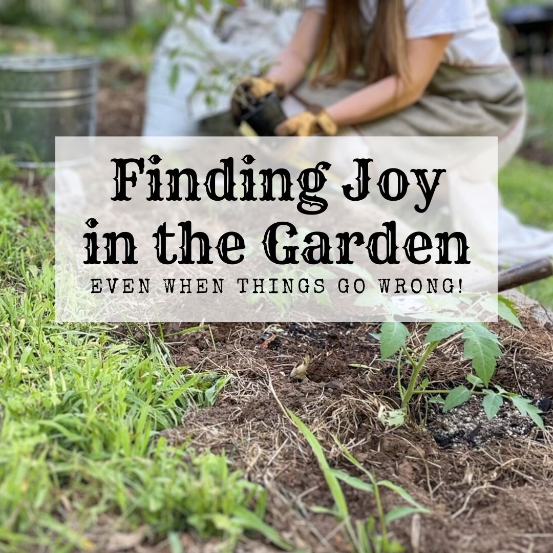 Homemaker Chats: Finding Joy in the Garden, Even When Things Go Wrong