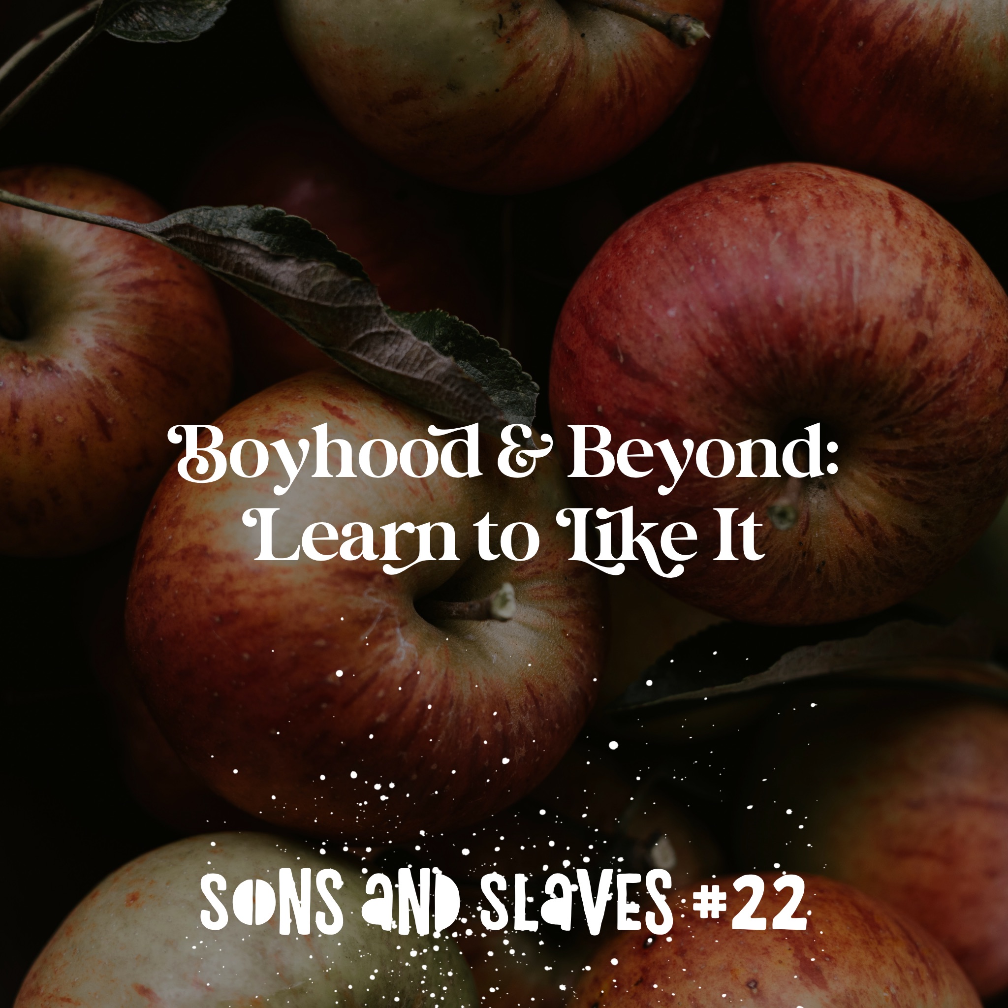 #22 Boyhood and Beyond: Learn to Like It!