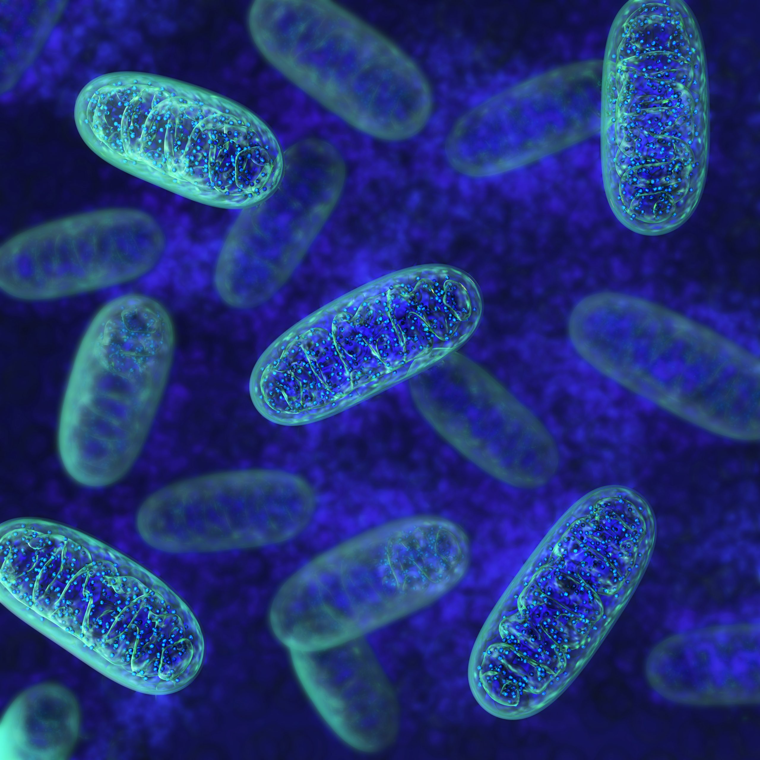 Cornelius Hunter on Evolution’s Ever-Receding Mitochondria Ancestor