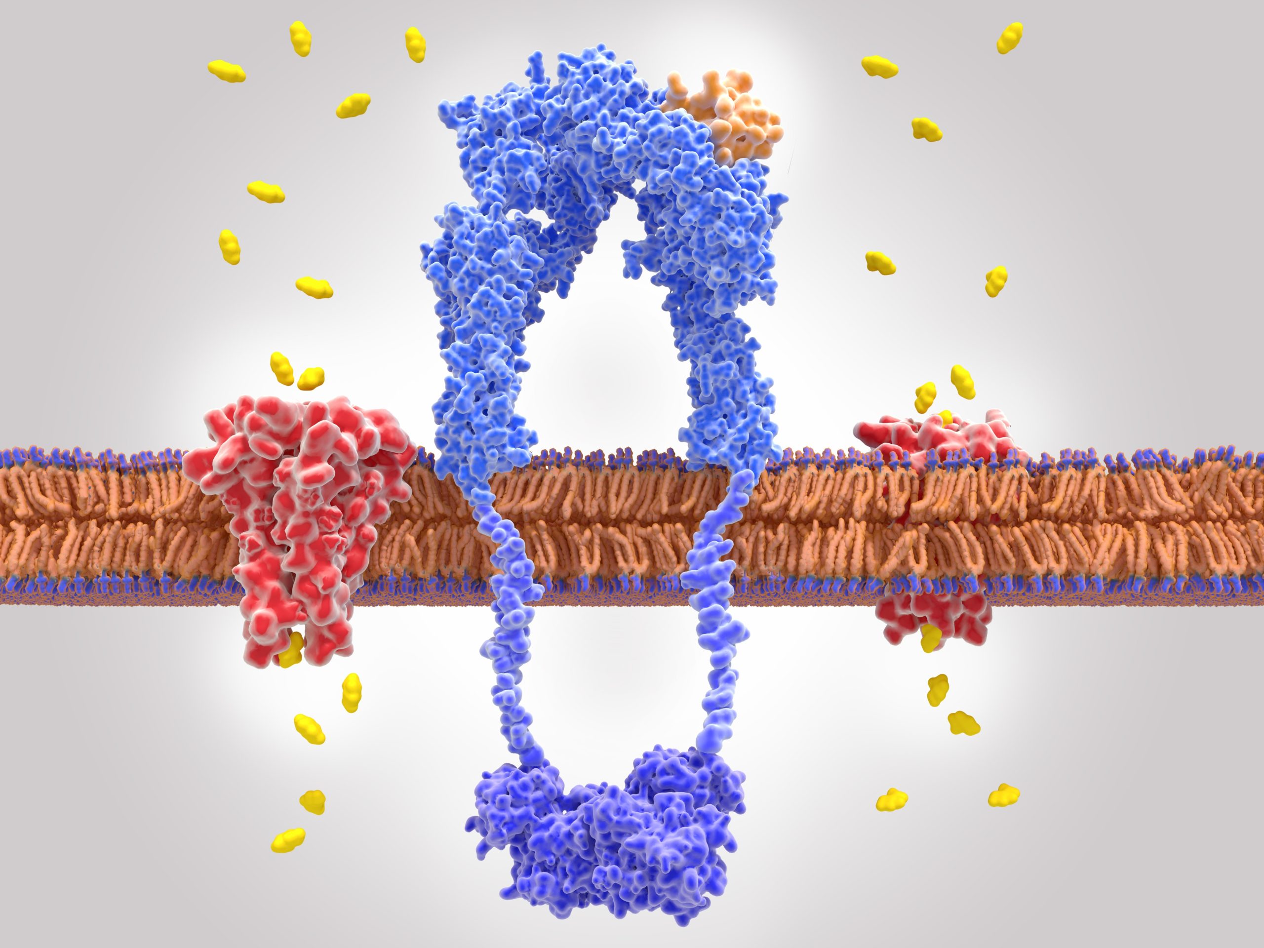 Glucose Systems in the Body — Another Instance of Irreducible Complexity