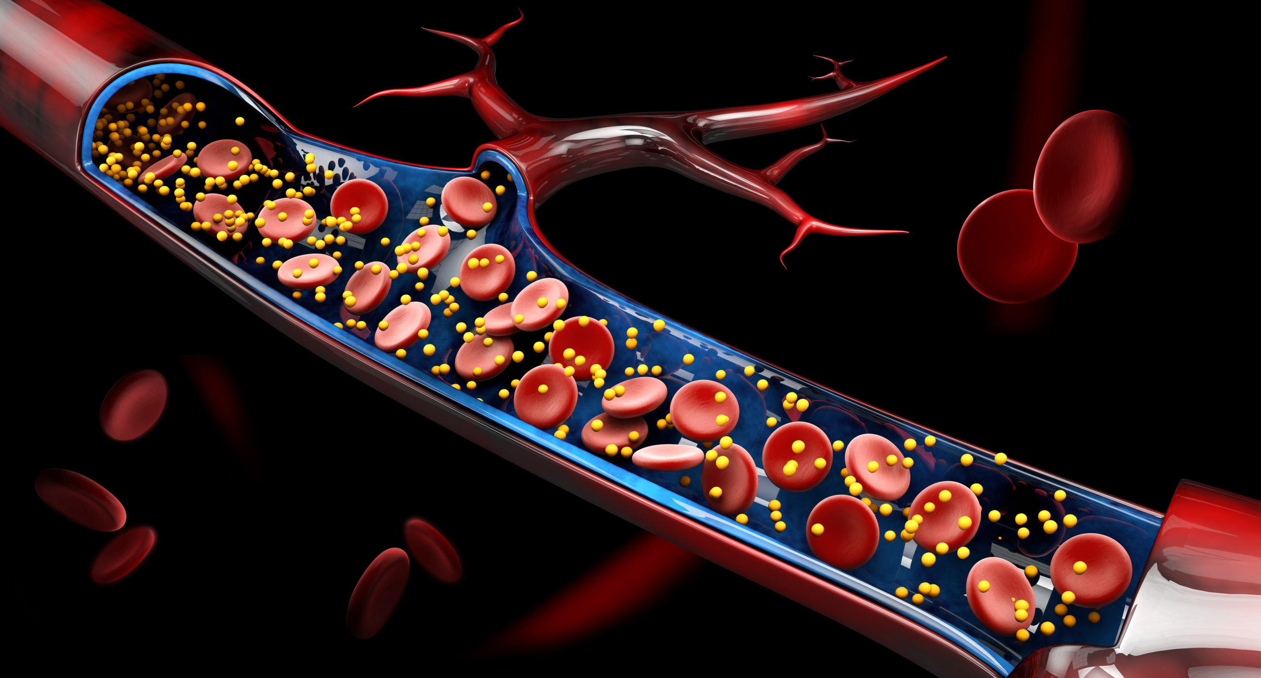 Our Irreducibly Complex Calcium Control System