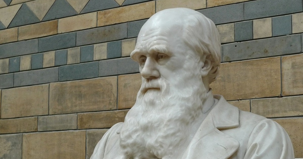 Pearcey on Darwin and Huxley: Philosophy, Not Evidence, Drove Them to Their Conclusions