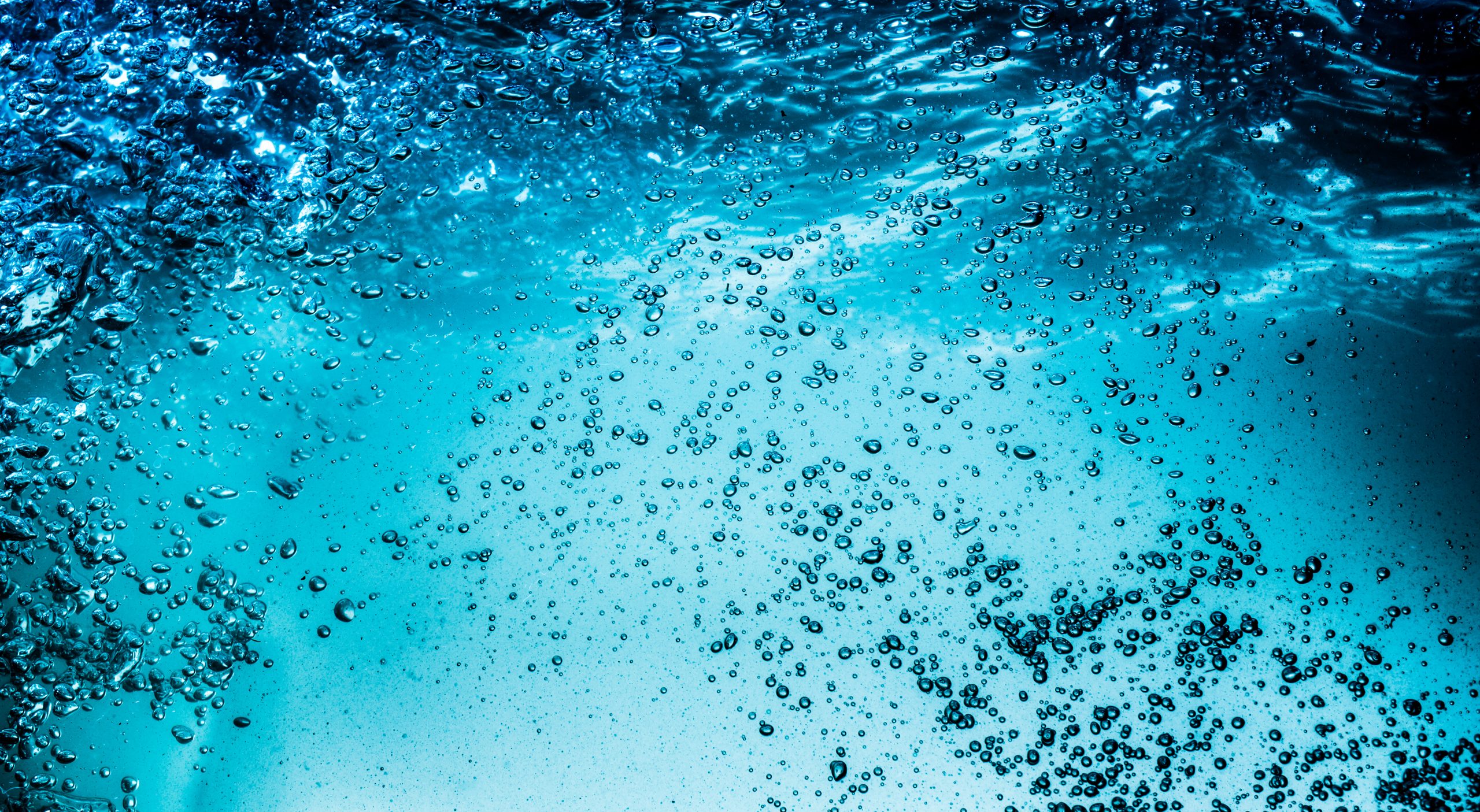 Michael Denton Reads the First Pages of His Book, The Wonder of Water