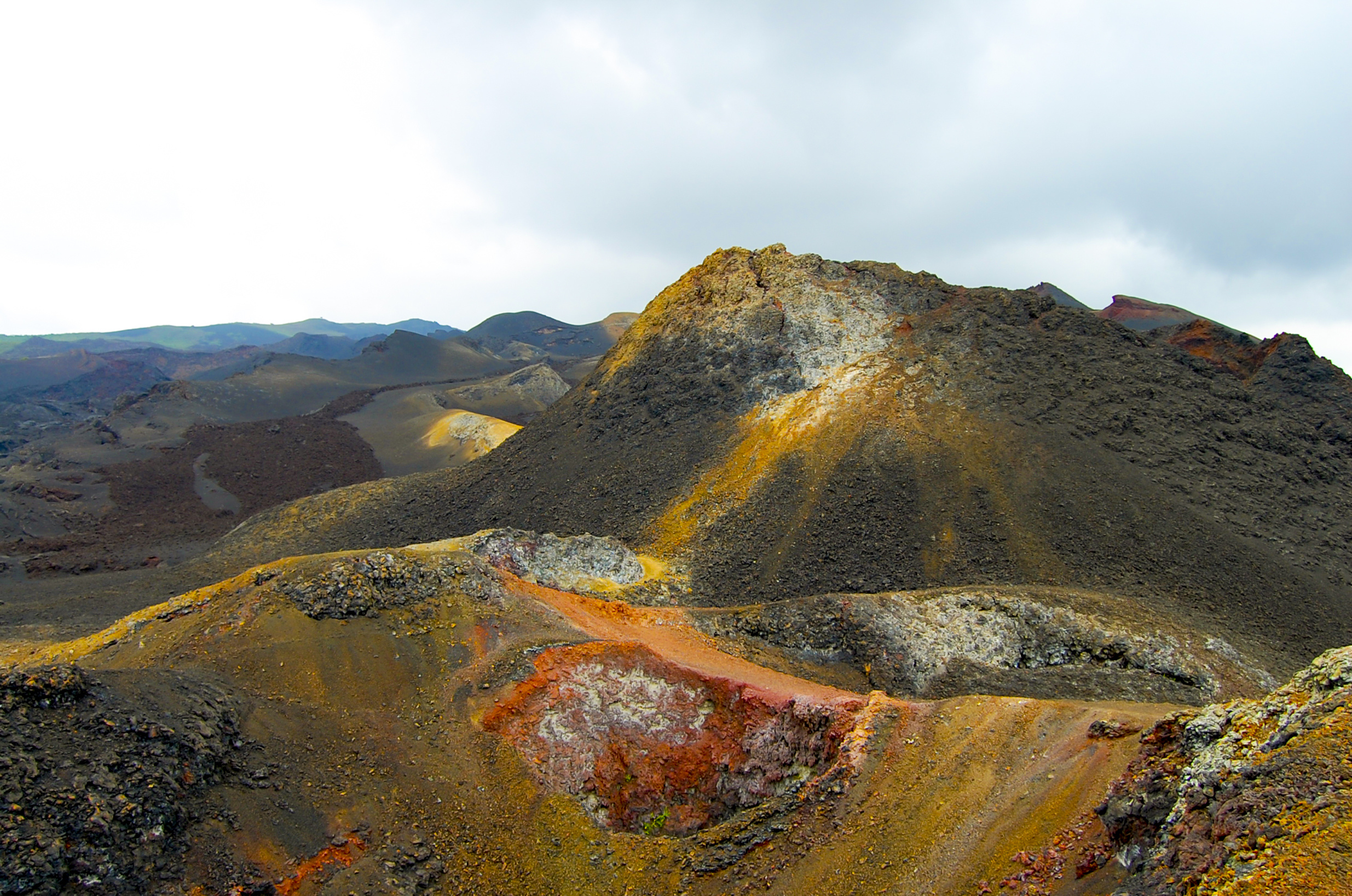 Paul Nelson Visits the Galapagos Islands, Pt. 2