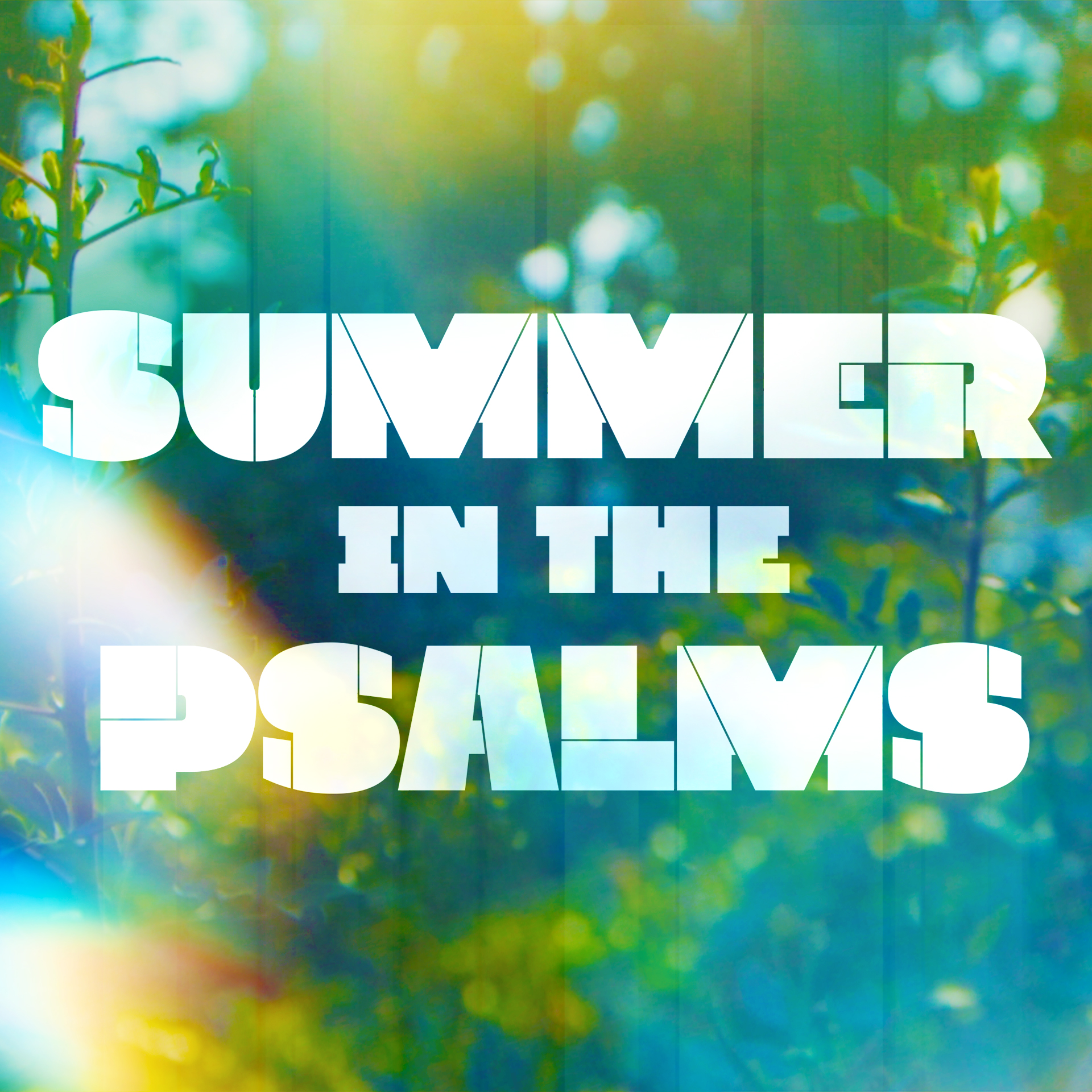 Summer In The Psalms #6 - Psalm 1