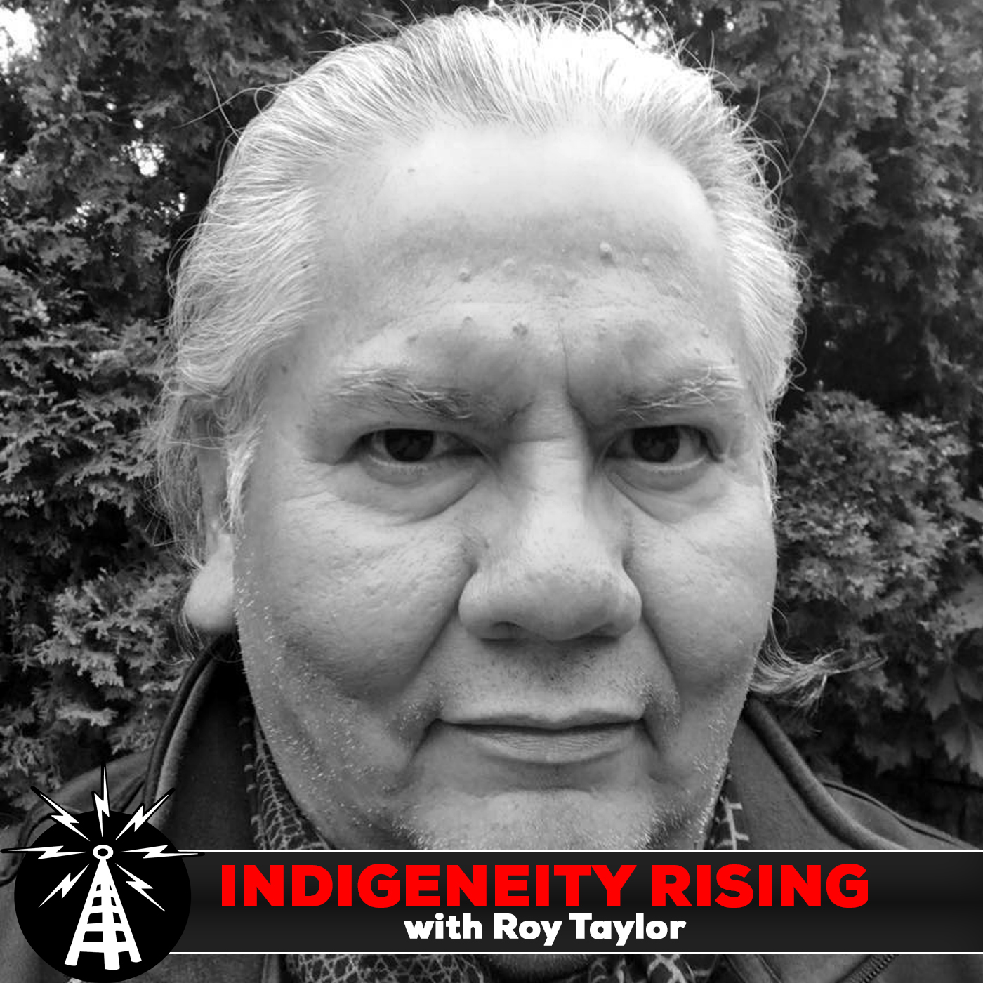 Indigeneity Rising