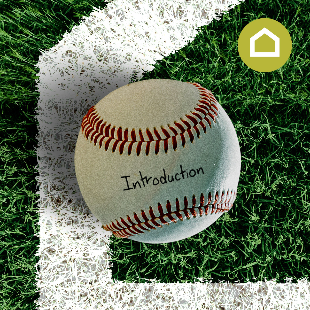 Introduction: Welcome to the Home Team