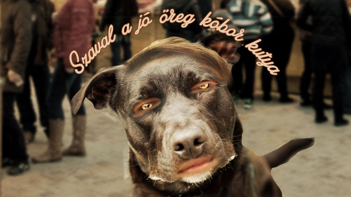 Szaval a jó öreg kóbor kutya: Mikor pottyan pecsenye?