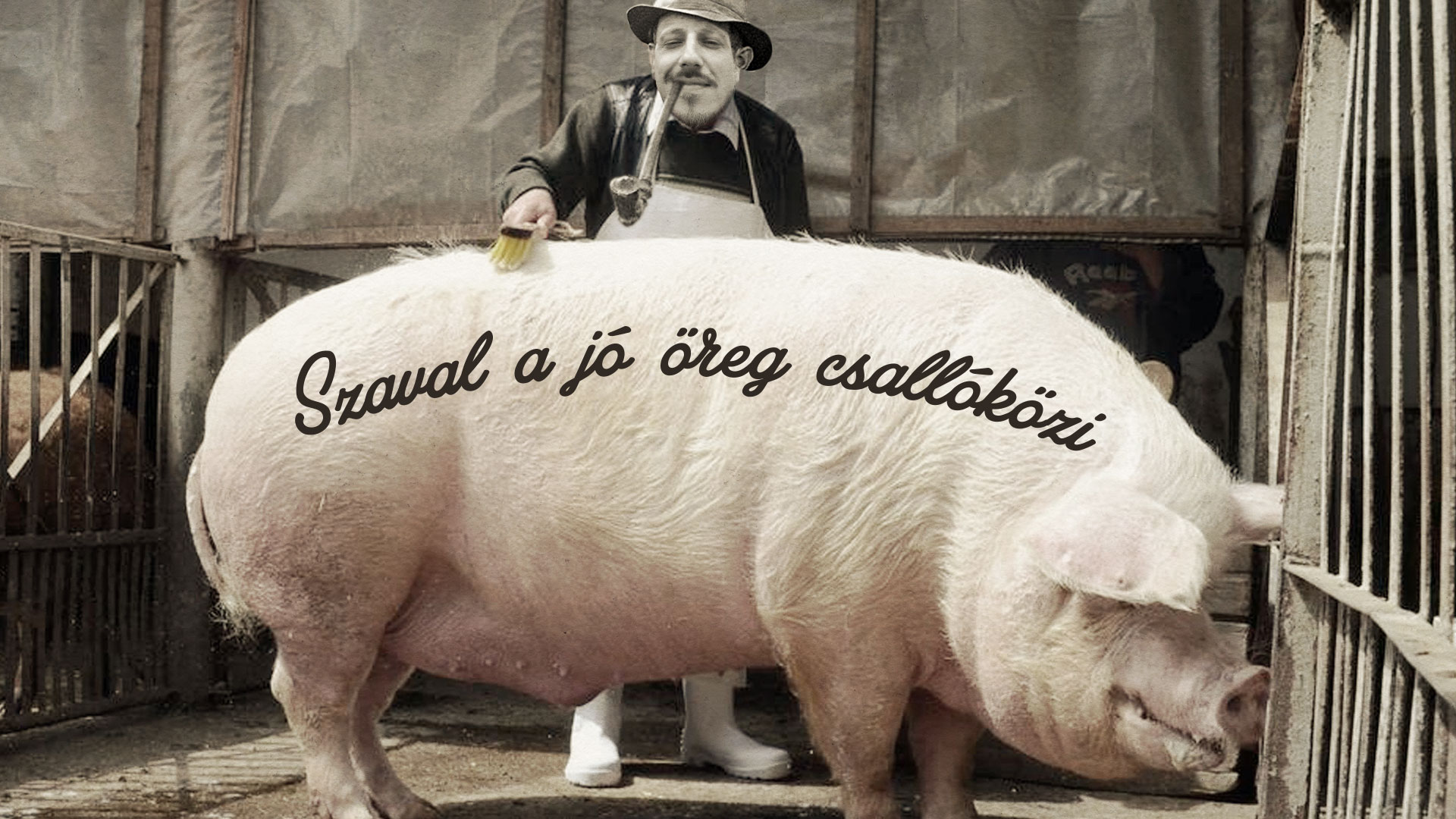 Szaval a jó öreg csallóközi – Disznóőlís faluhejënn