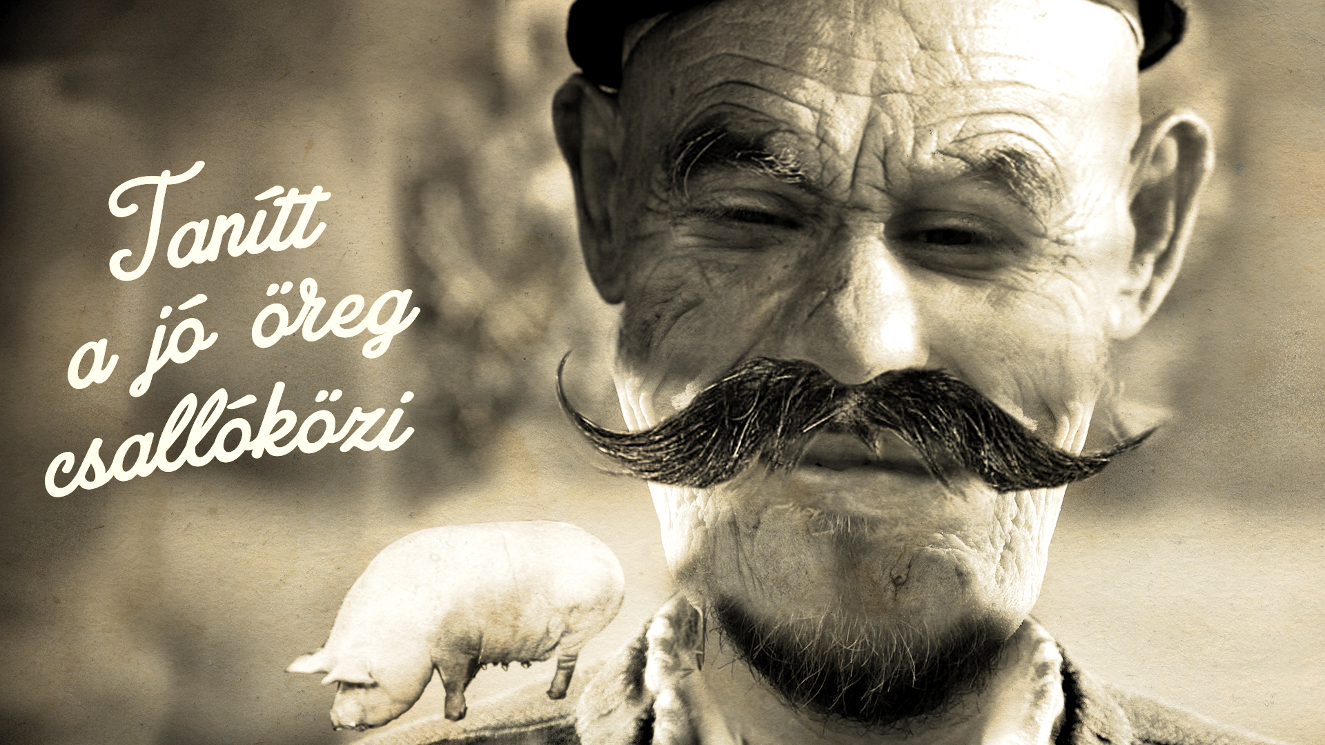 Tanítt a jó öreg csallóközi: Nyelvlecke kezdőknek