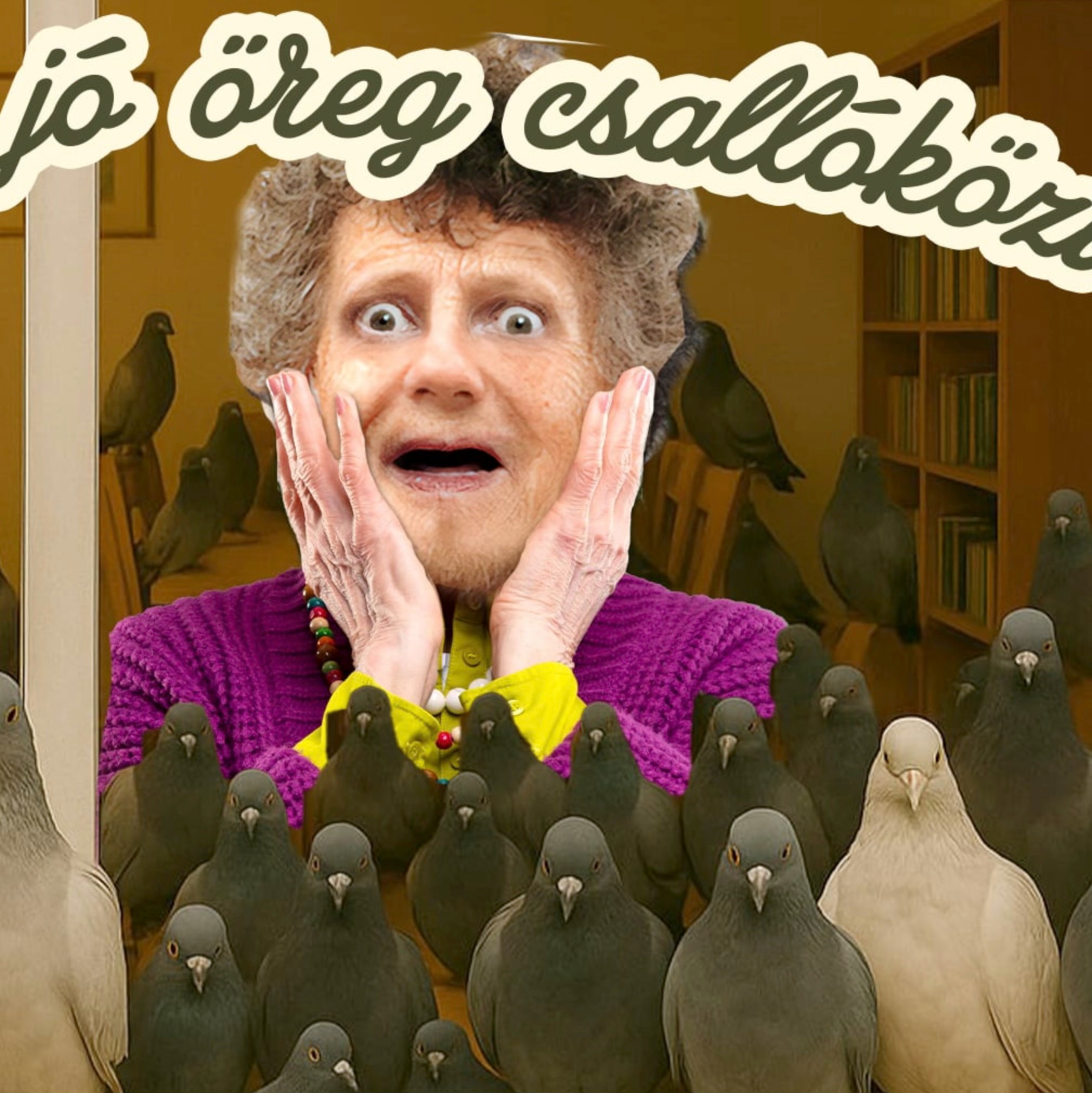 Szaval a jó öreg csallóközi: Galamb tërror a lakásbo