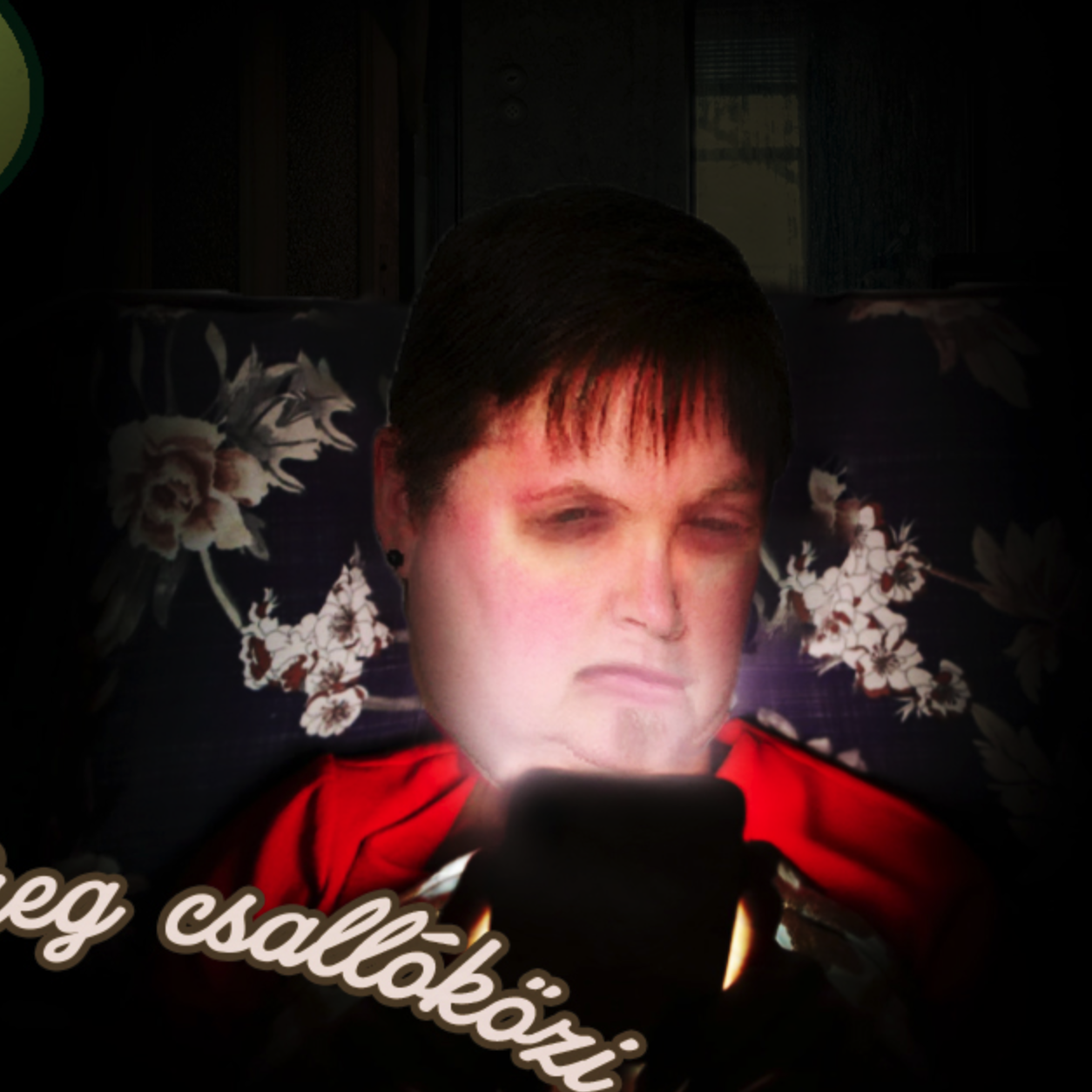 Szaval a jó öreg csallóközi – Ráfüggött a Piri a Fészbukra!