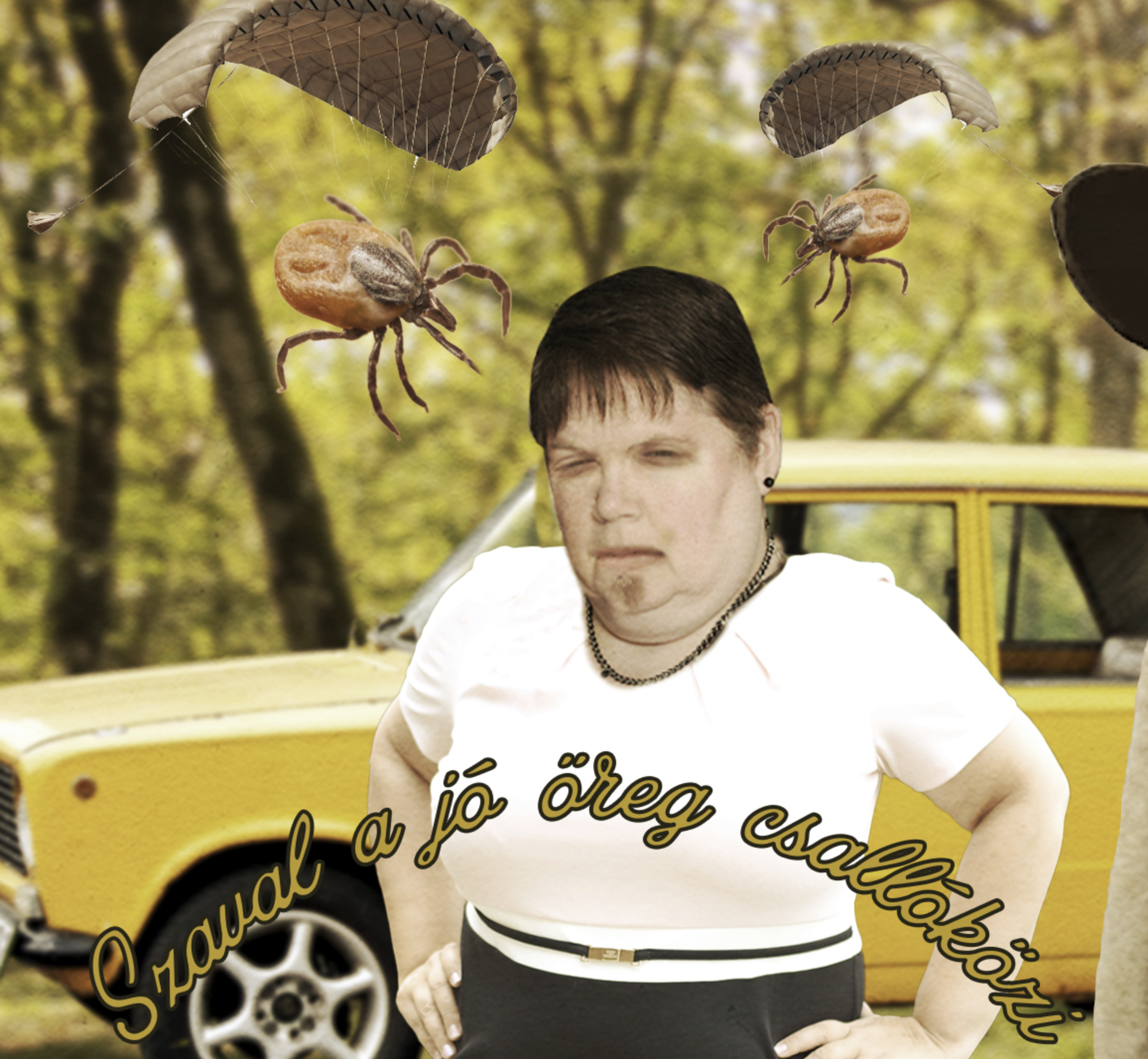 Szaval a jó öreg csallóközi: Kullancs menta Piribe