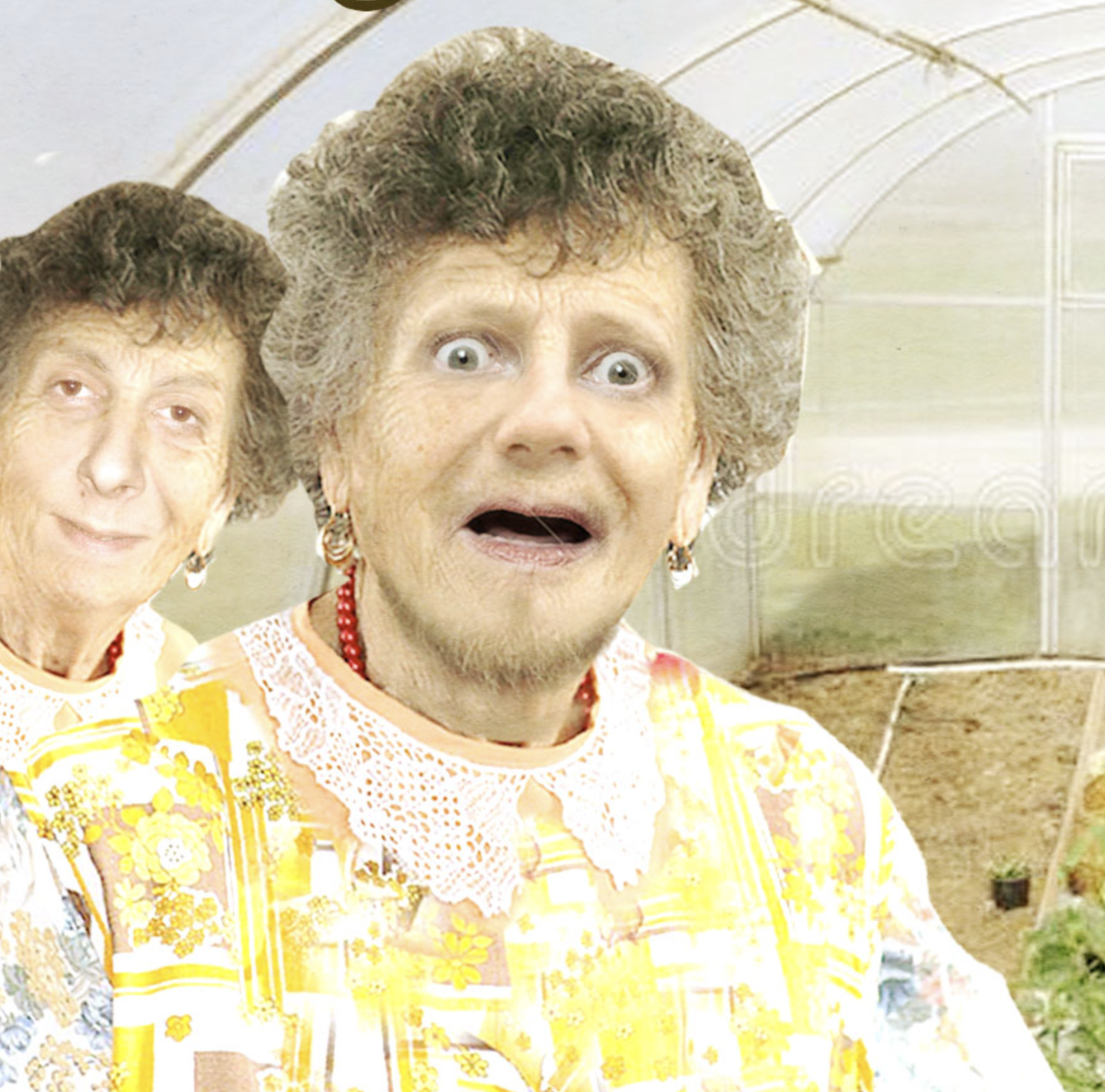 Szaval a jó öreg csallóközi: Eelopták a krizantit!