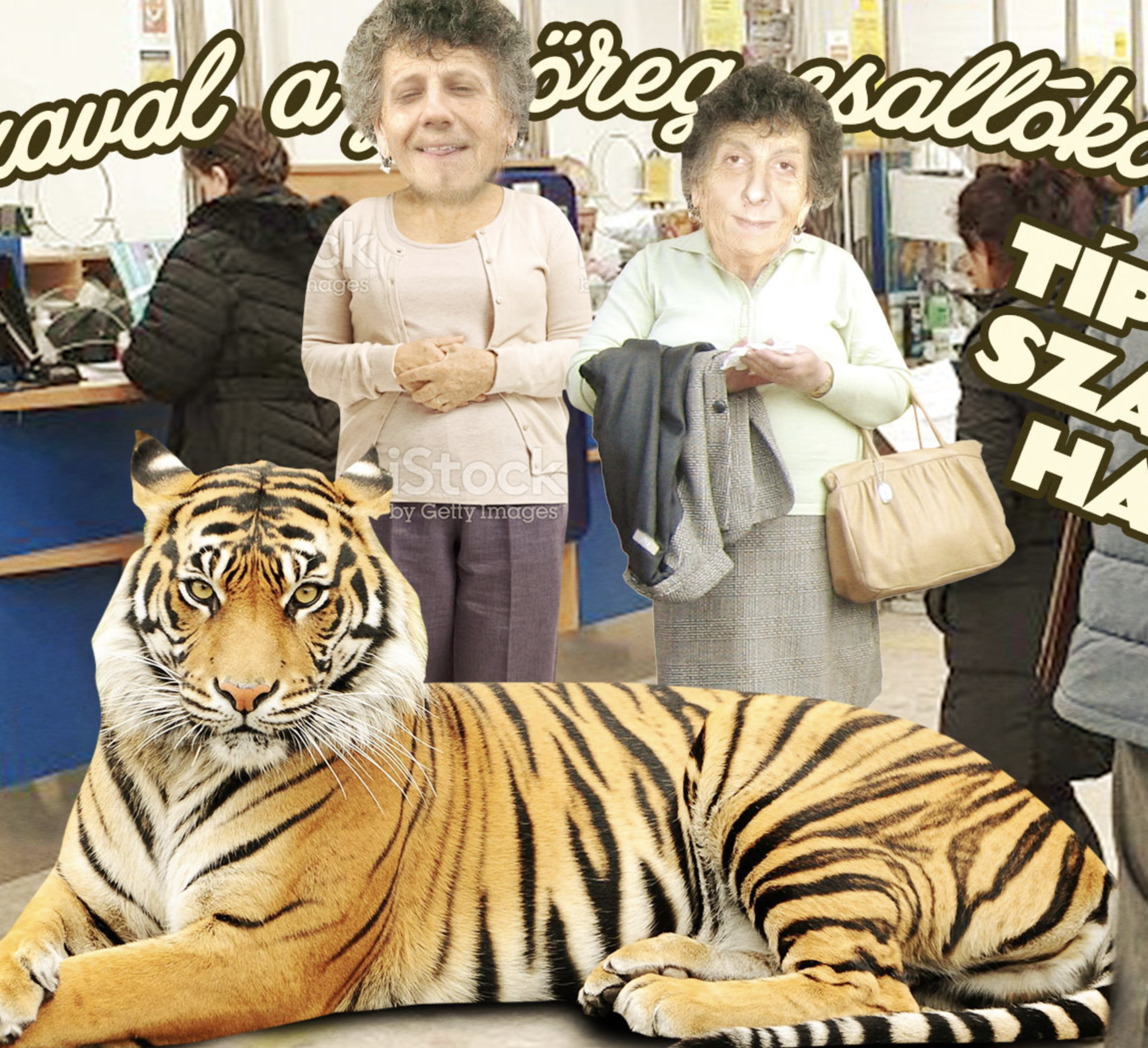 Szaval a jó öreg csallóközi: Típëkén számot hakő