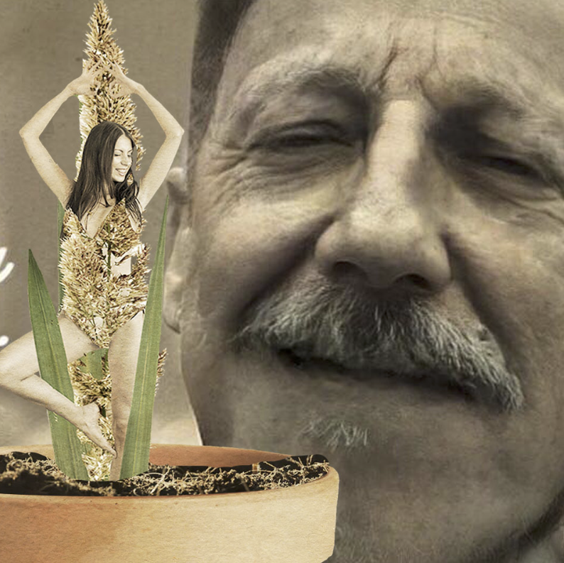 Tanítt a jó öreg csallóközi: Csajozós nyelvlecke Gyulabáttyú