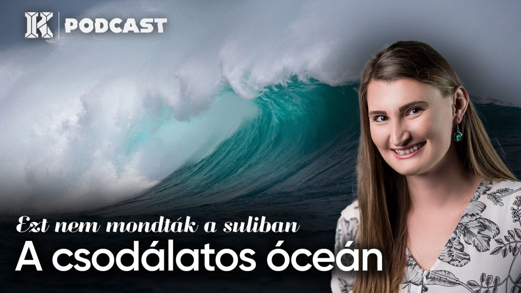 A csodálatos óceán | Ezt nem mondták a suliban