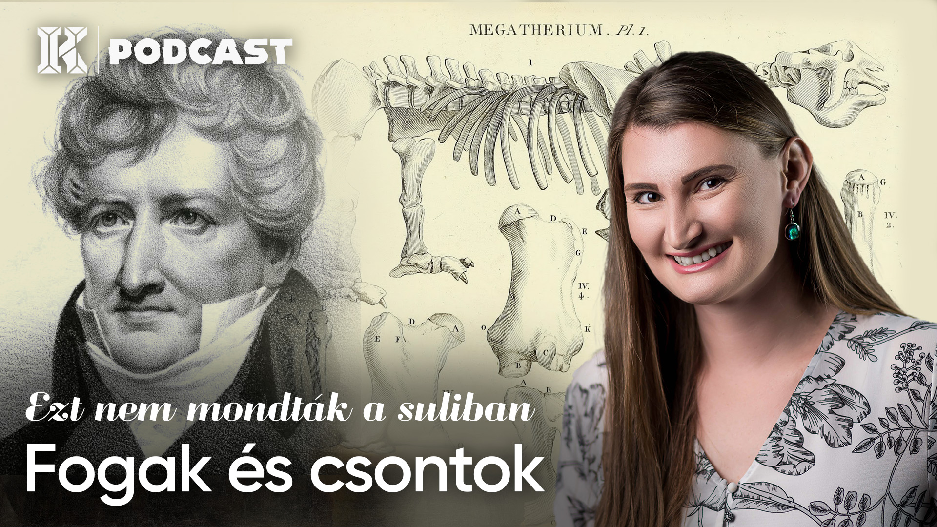 Fogak és csontok | Ezt nem mondták a suliban