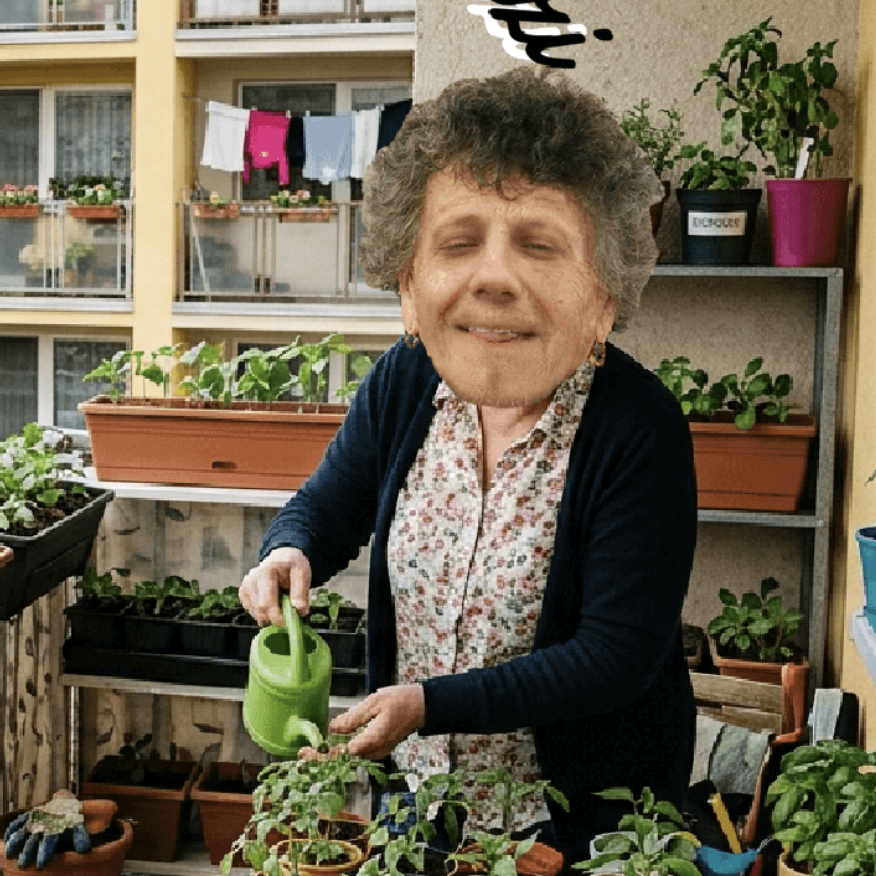 Szaval a jó öreg csallóközi - Palántákot pikérozok 