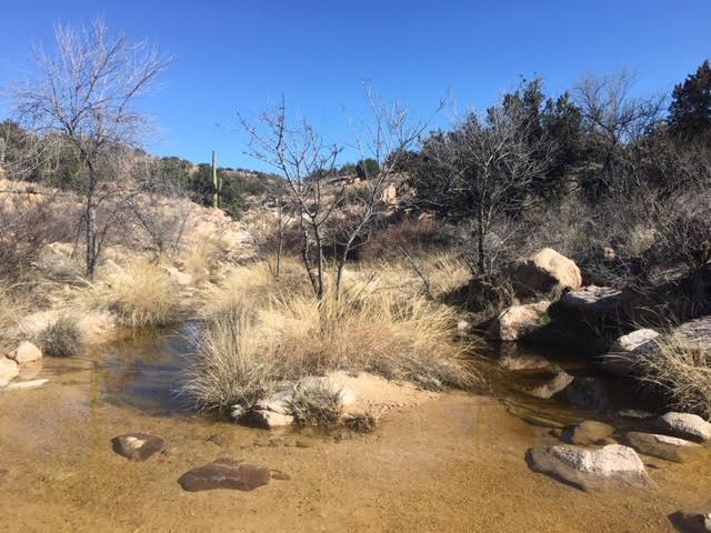 Southwestern Trails