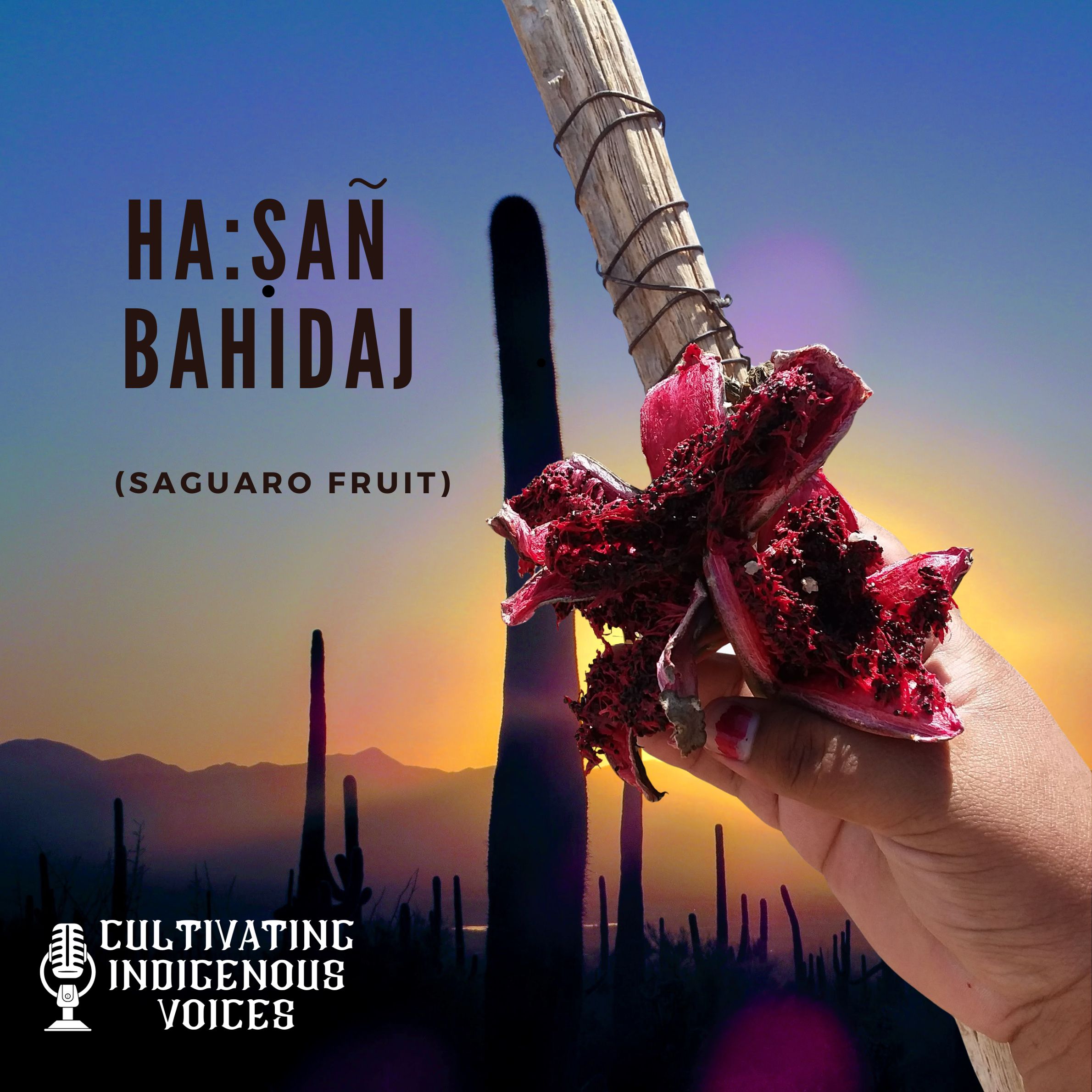 Episode Cover