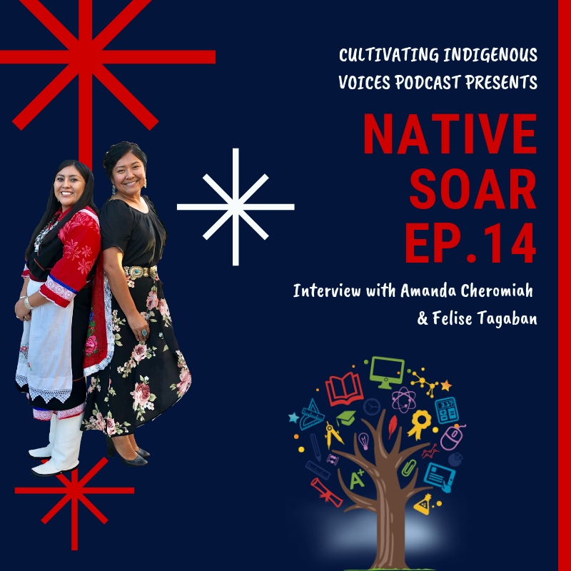 Ep. 14: Native SOAR
