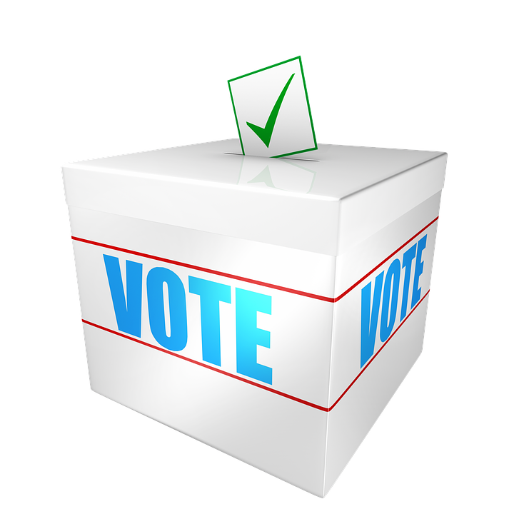 Sue DeArmond on Ways to Vote, Janet Belkin on Choosing Candidates